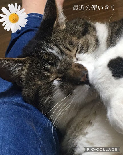 薬用クレンジングバーム/Bejou/クレンジングバームを使ったクチコミ(1枚目)