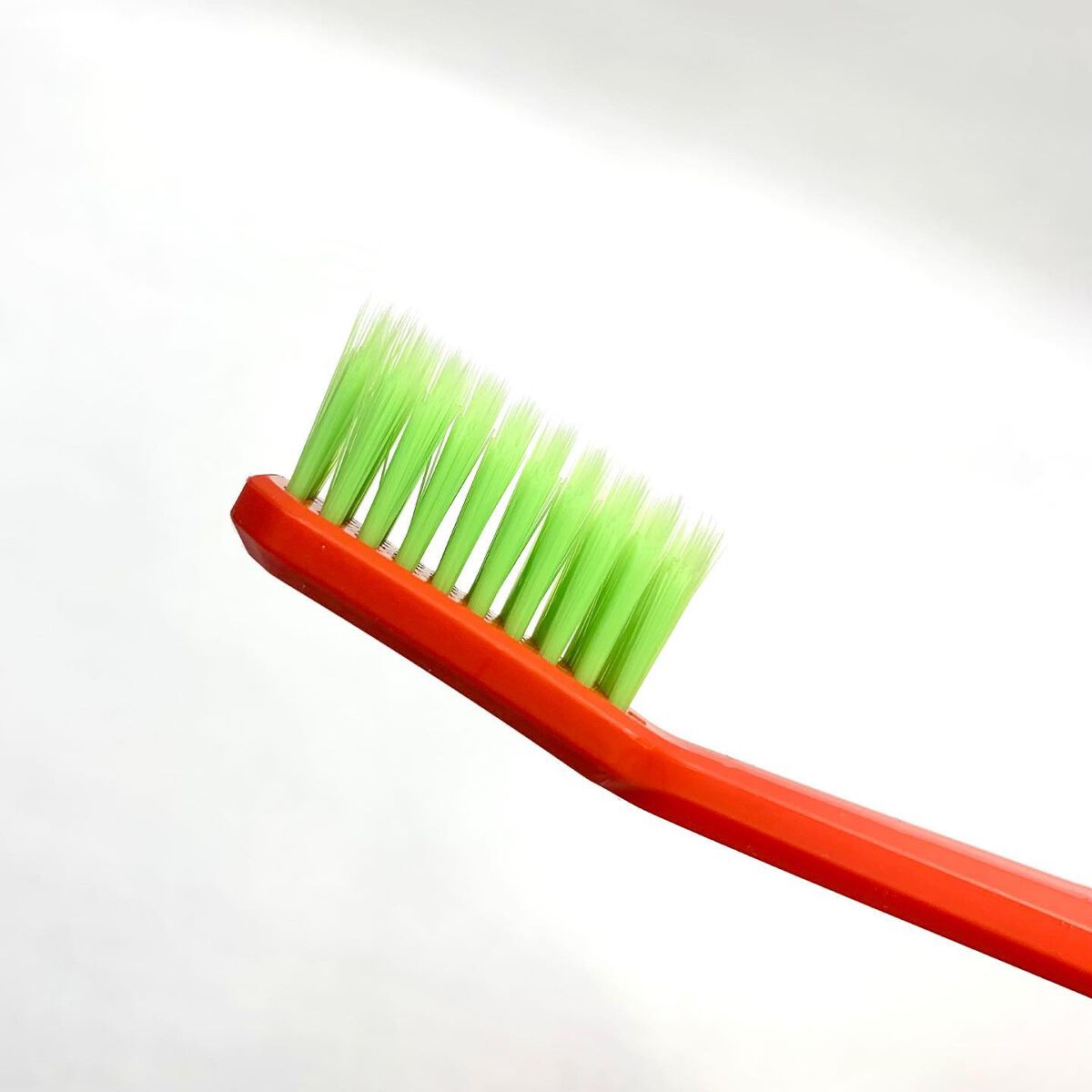 RUCIPELLO KOREA Coral Reef Red