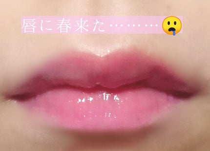 リッププランパーエクストラセラム/Borica/リッププランパーを使ったクチコミ(4枚目)