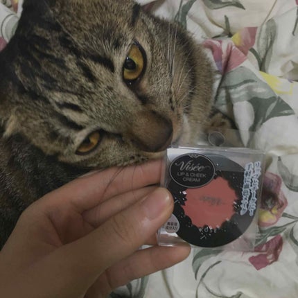 リシェ リップ&チーク クリーム/Visée/ジェル・クリームチークを使ったクチコミ(1枚目)