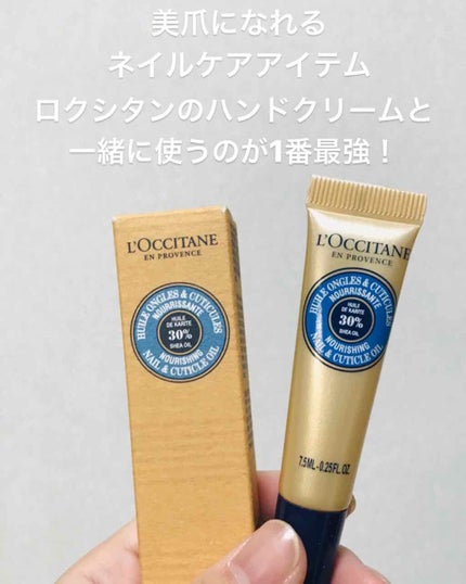 シア ネイルオイル/L'OCCITANE/ネイルオイル・トリートメントを使ったクチコミ(1枚目)