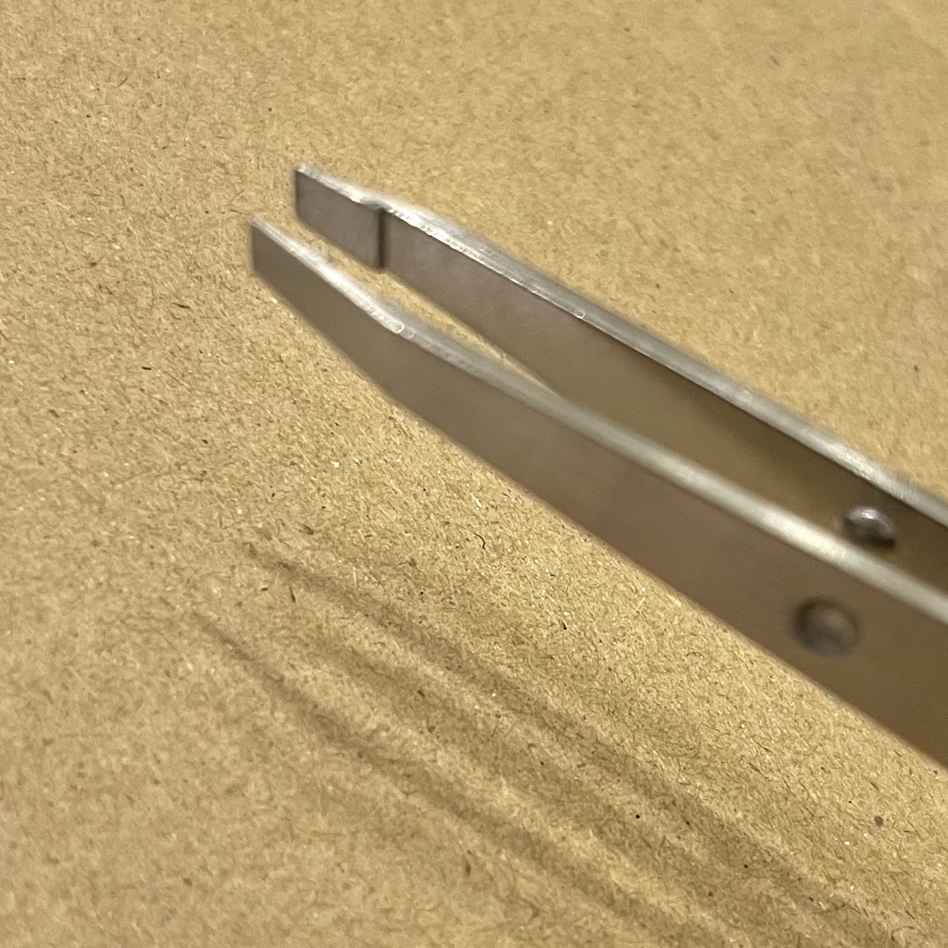 がっちりキャッチ毛抜き シルバー/貝印/毛抜きを使ったクチコミ（2枚目）