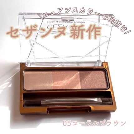 ノーズ&アイブロウパウダー/CEZANNE/パウダーアイブロウを使ったクチコミ(1枚目)