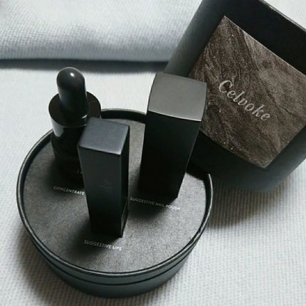 セルヴォーク フィフス アニバーサリー キット/Celvoke/メイクアップキットを使ったクチコミ(5枚目)