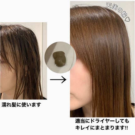 イッシ ザ ヘアミルク Dx ディープリペアモイスト/ISSHI/ヘアミルクを使ったクチコミ(6枚目)