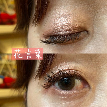 シャドーカスタマイズ (フローティング)/MAJOLICA MAJORCA/単色アイシャドウを使ったクチコミ(4枚目)