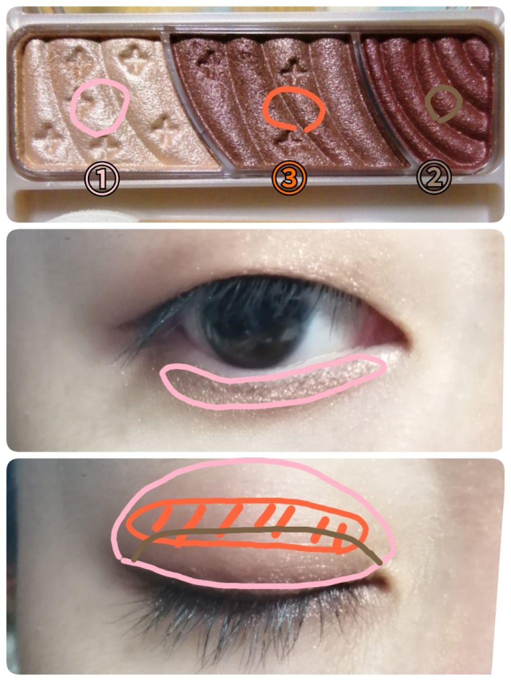 トーンアップアイシャドウ/CEZANNE/アイシャドウパレットを使ったクチコミ(3枚目)