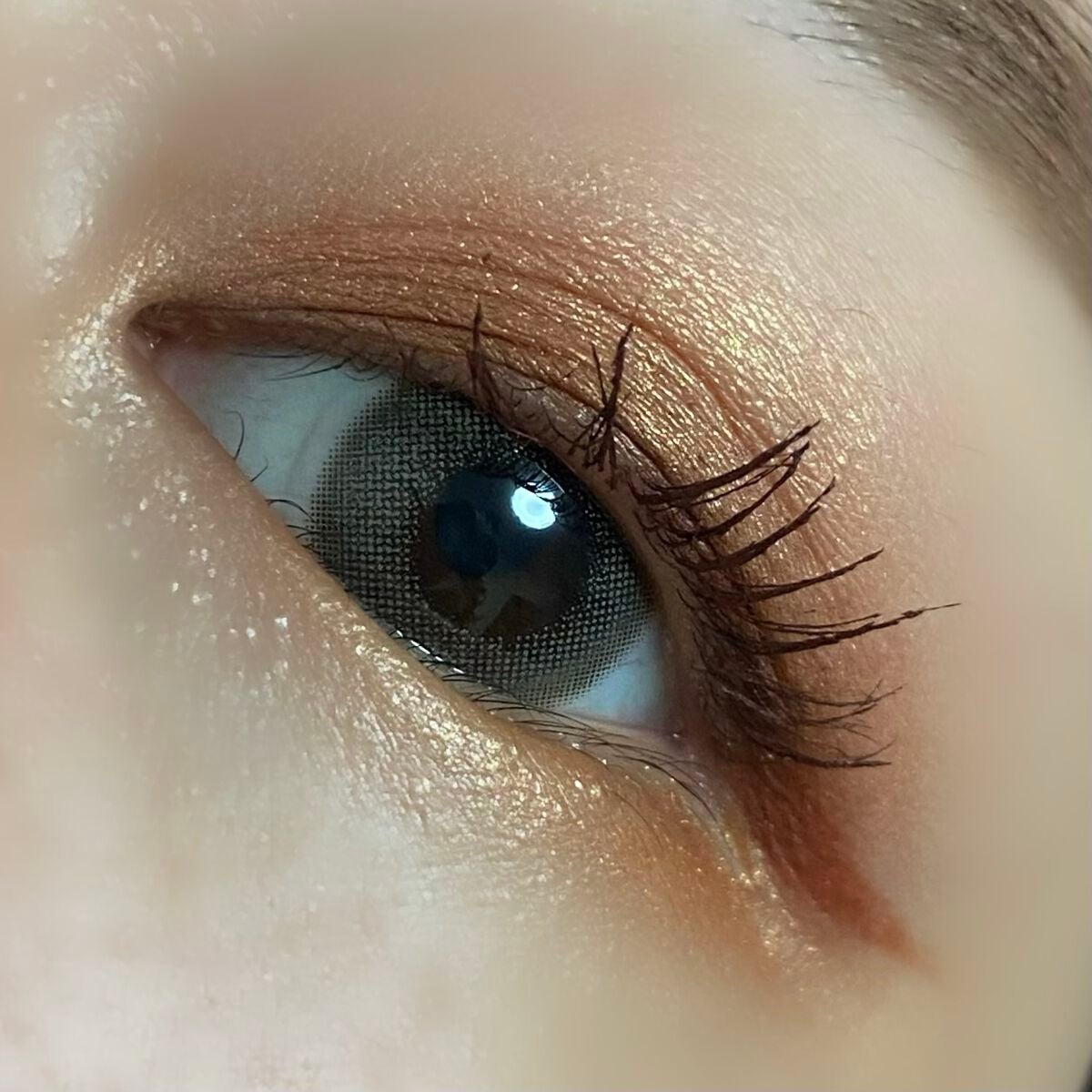 【旧】サンク クルール クチュール/Dior/アイシャドウパレットを使ったクチコミ(2枚目)