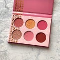 Blushed Rose Eyeshadow Palette / Juvia's Place
