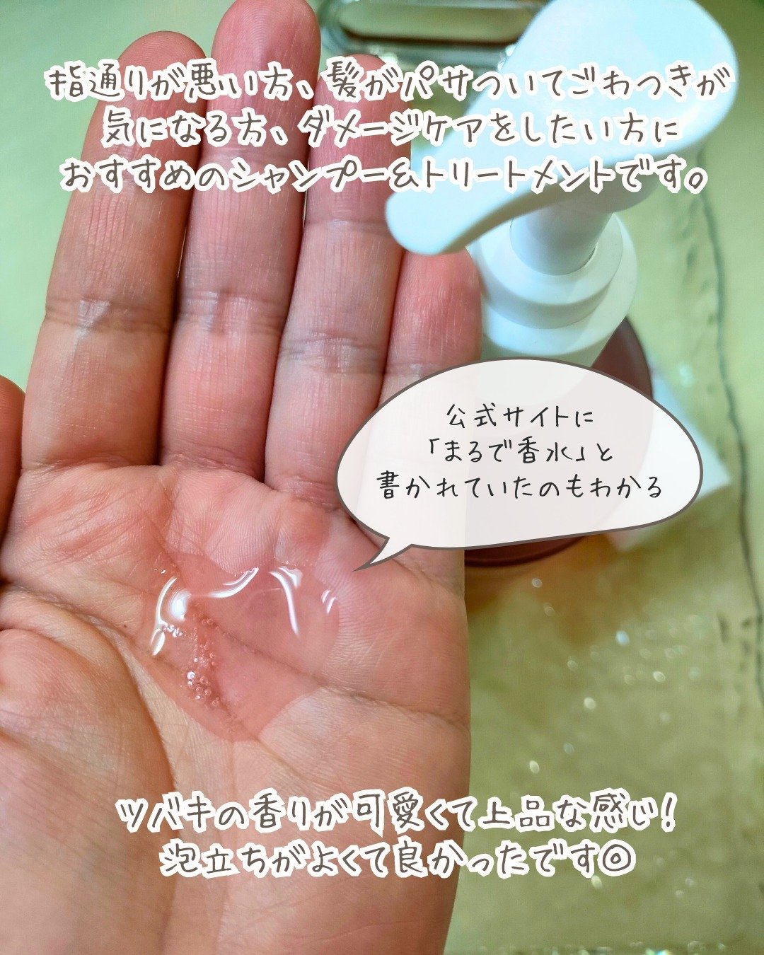 リフレッシュモーメントパフュームシャンプー/トリートメント Jeju Camellia/Free Moment /市販シャンプーを使ったクチコミ（3枚目）