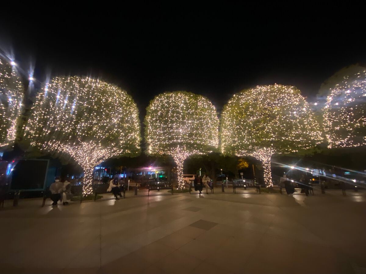 ハトムギ化粧水(ナチュリエ スキンコンディショナー R )/ナチュリエ/化粧水を使ったクチコミ(1枚目)