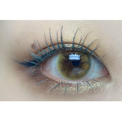 マイクロライナーインク/SHISEIDO/ペンシルアイライナーを使ったクチコミ(2枚目)