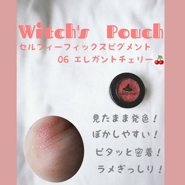 セルフィーフィックスピグメント/Witch's Pouch/シングルアイシャドウを使ったクチコミ（1枚目）