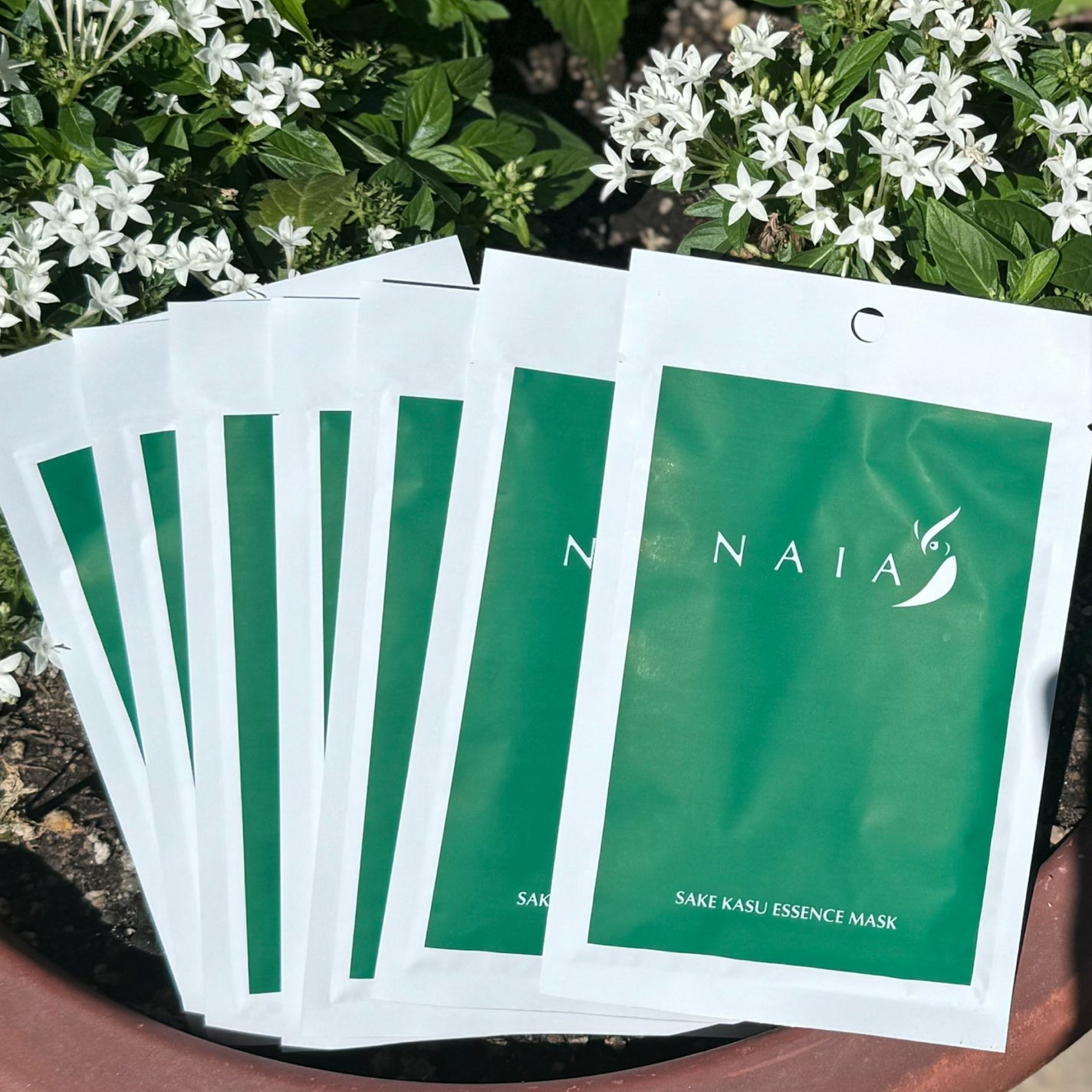 酒粕フェイスマスク 7枚入り(個包装)/NAIA/シートマスク・パックを使ったクチコミ(1枚目)