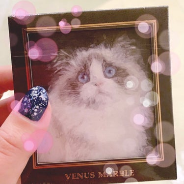 Venus Marble アイシャドウキャットシリーズ/Venus Marble/パウダーアイシャドウを使ったクチコミ（1枚目）