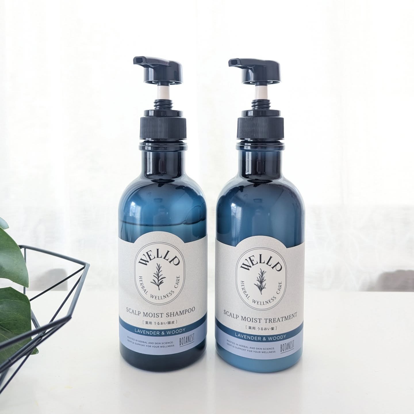 薬用スカルプケアシャンプー/トリートメント モイスト/WELLP/市販シャンプーを使ったクチコミ（2枚目）