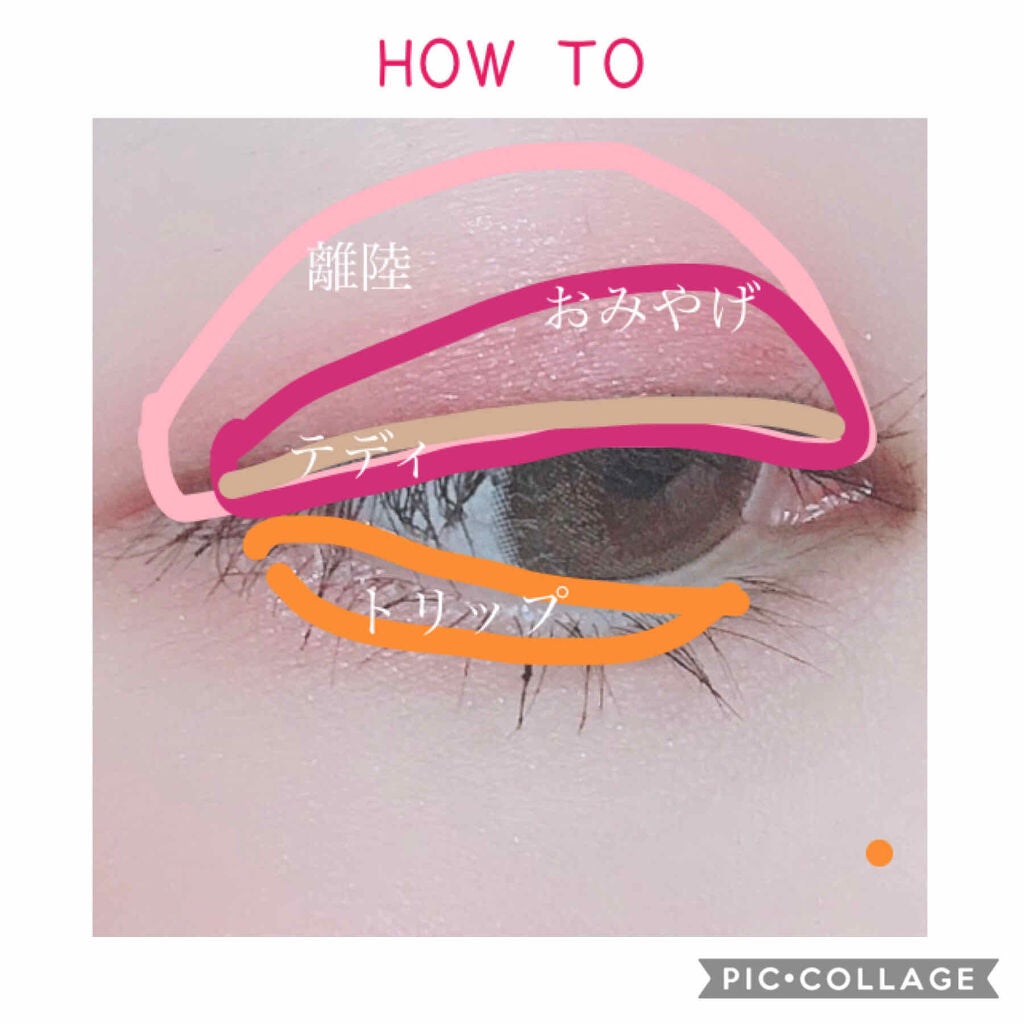 ナイストゥミーチュートランク/MAJOLICA MAJORCA/アイシャドウパレットを使ったクチコミ(2枚目)