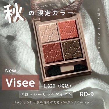 グロッシーリッチ アイズ N/Visée/パウダーアイシャドウを使ったクチコミ（1枚目）