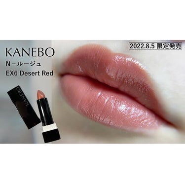 レイヤードカラーズアイシャドウ/KANEBO/アイシャドウパレットを使ったクチコミ（3枚目）