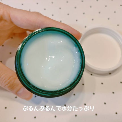 パンテノールシカブレミッシュクリーム/BIOHEAL BOH/フェイスクリームを使ったクチコミ(4枚目)