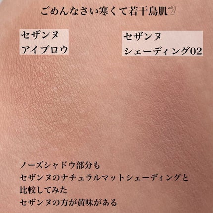 ノーズ&アイブロウパウダー/CEZANNE/パウダーアイブロウを使ったクチコミ(7枚目)