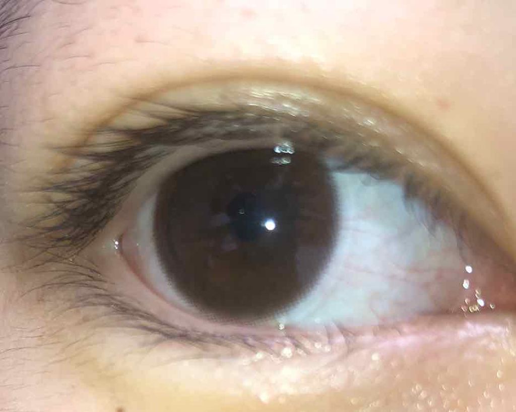 アーティラル ワンデー ブラウン/ARTIRAL/ワンデー（１DAY）カラコンを使ったクチコミ（2枚目）