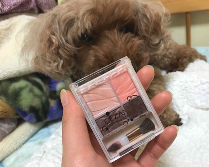 エアリータッチシャドウ/CEZANNE/アイシャドウパレットを使ったクチコミ(1枚目)