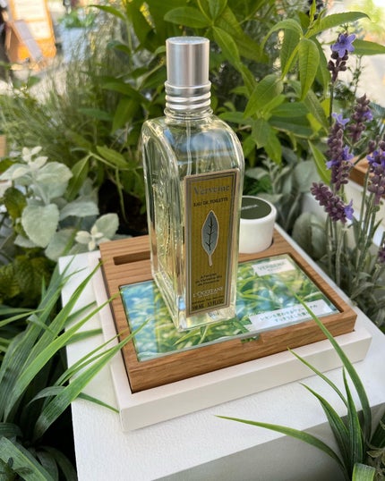 ヴァーベナ オードトワレ/L'OCCITANE/香水(レディース)を使ったクチコミ(7枚目)