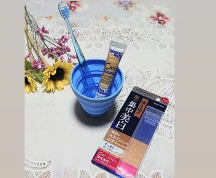 を使ったクチコミ(2枚目)