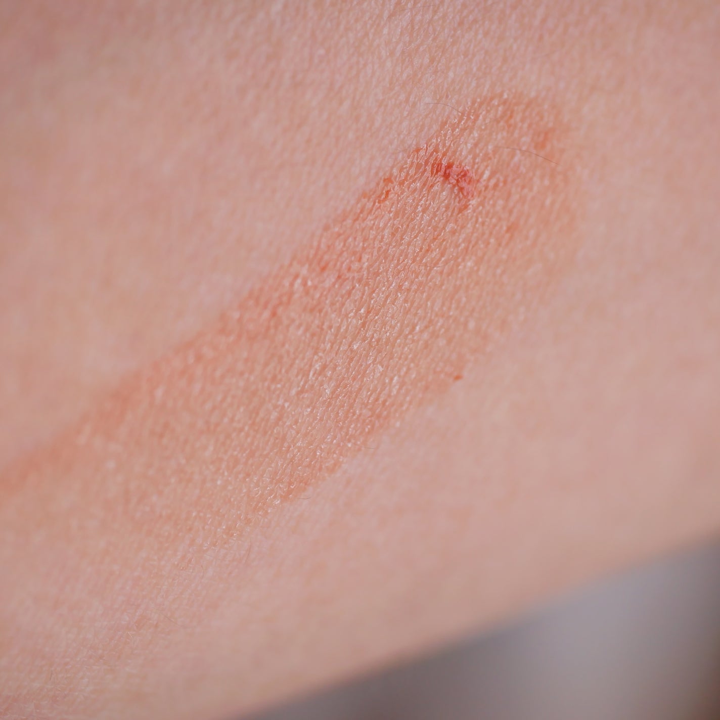 Upt WATERY SHEER LIP /Upt/口紅を使ったクチコミ(6枚目)