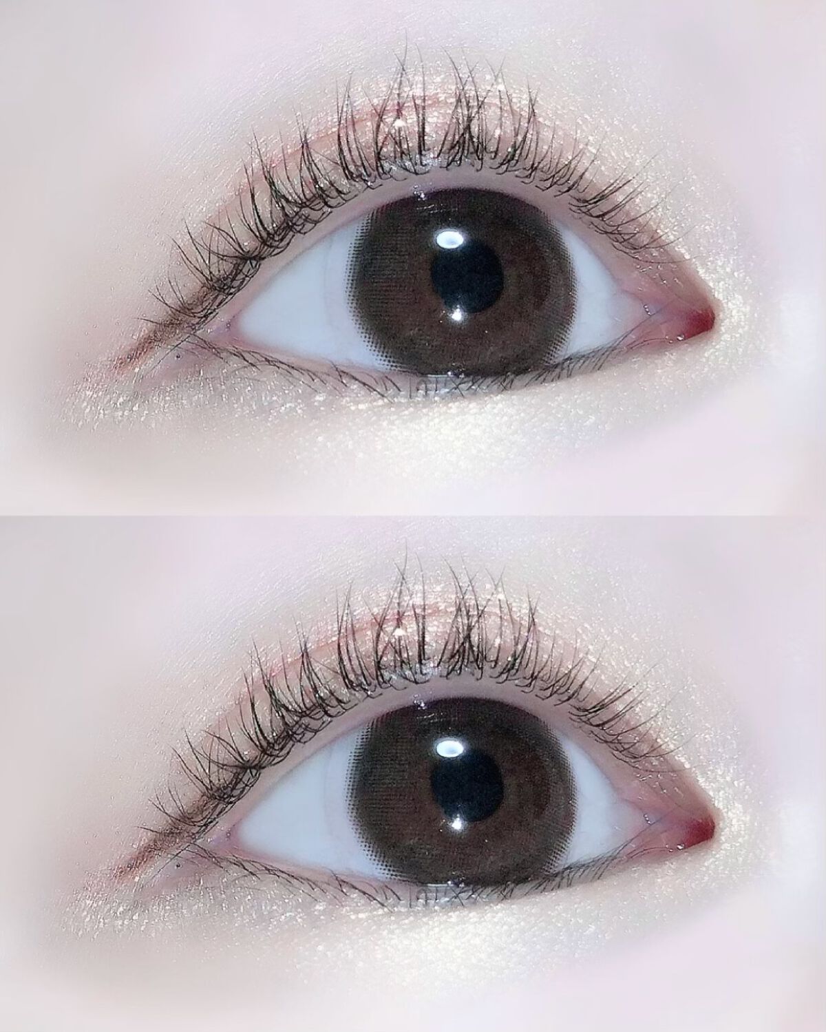 SLN eyeshadowのクチコミ「SLN 𓆸
Eyeshadow #098 金色の麦畑 𓆸

TBSのラヴィットで河北裕介さんが.....」（3枚目）