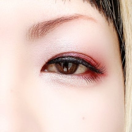 エクスプローラ12色 動物アイシャドウパレット/PERFECT DIARY/アイシャドウパレットを使ったクチコミ(5枚目)