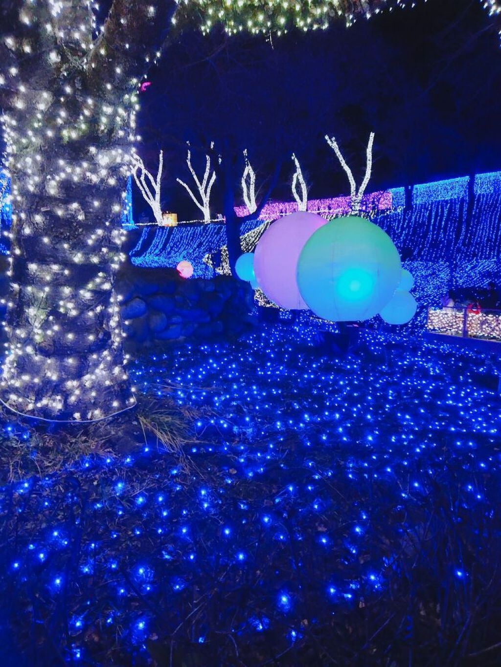 クリーミータッチライナー/キャンメイク/ジェルアイライナーを使ったクチコミ(7枚目)