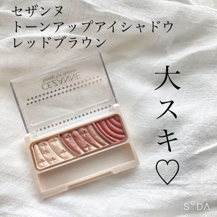 トーンアップアイシャドウ/CEZANNE/アイシャドウパレットを使ったクチコミ(1枚目)