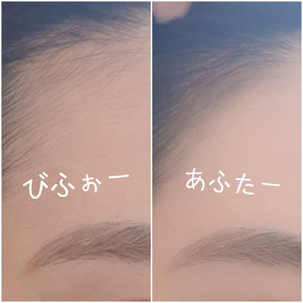 WブロウEX/サナ ニューボーン/アイブロウペンシルを使ったクチコミ(1枚目)