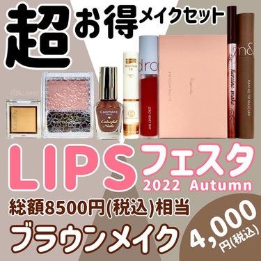 ブラウンメイクセット  LIPSフェスタ Autumn 2022/LIPS/メイクアップキットを使ったクチコミ（1枚目）