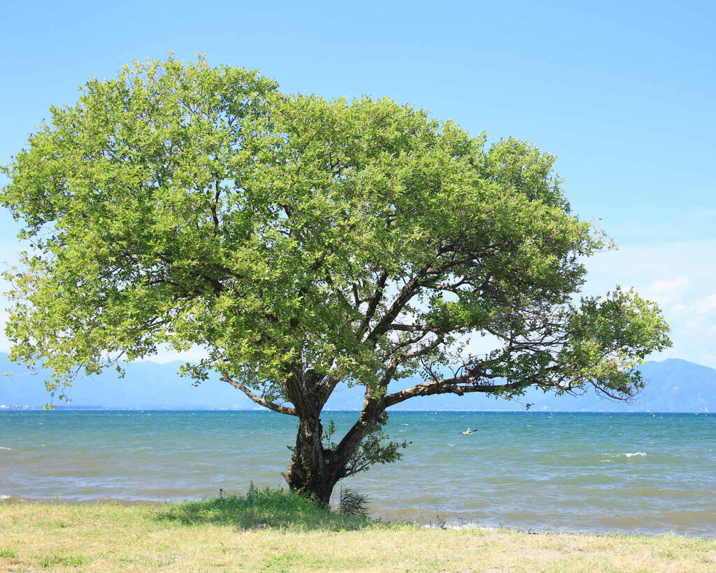 自己紹介/雑談/その他を使ったクチコミ（1枚目）