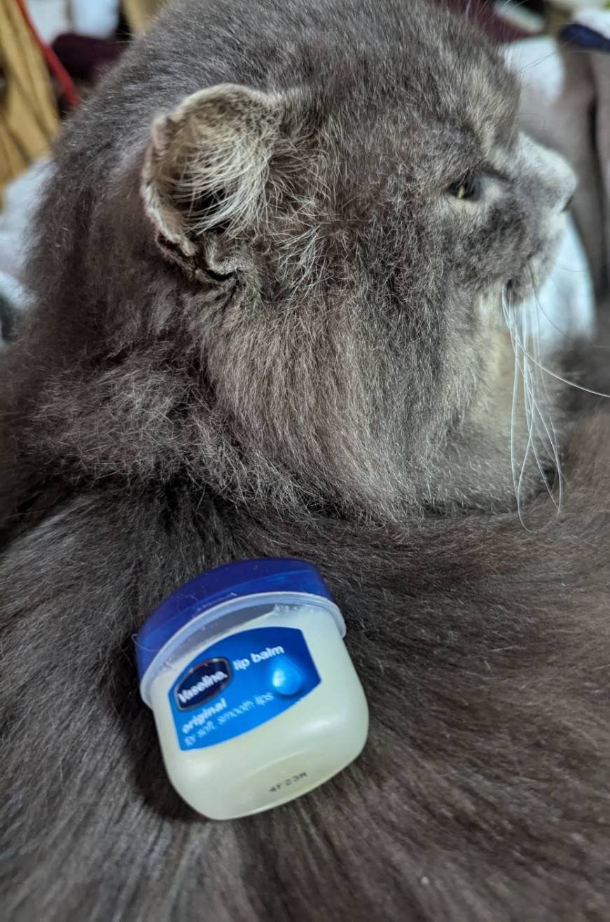 リップ オリジナル/ヴァセリン/リップバームを使ったクチコミ（1枚目）