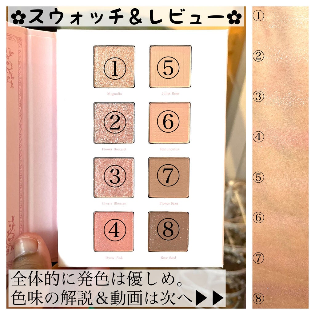 シャドウパレット/dasique/アイシャドウパレットを使ったクチコミ(3枚目)