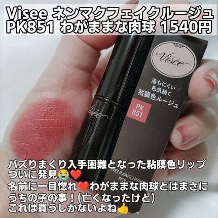 ネンマクフェイク ルージュ/Visée/口紅を使ったクチコミ(2枚目)