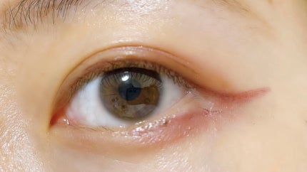 パーフェクトスタイリストアイズ/キャンメイク/アイシャドウパレットを使ったクチコミ(4枚目)