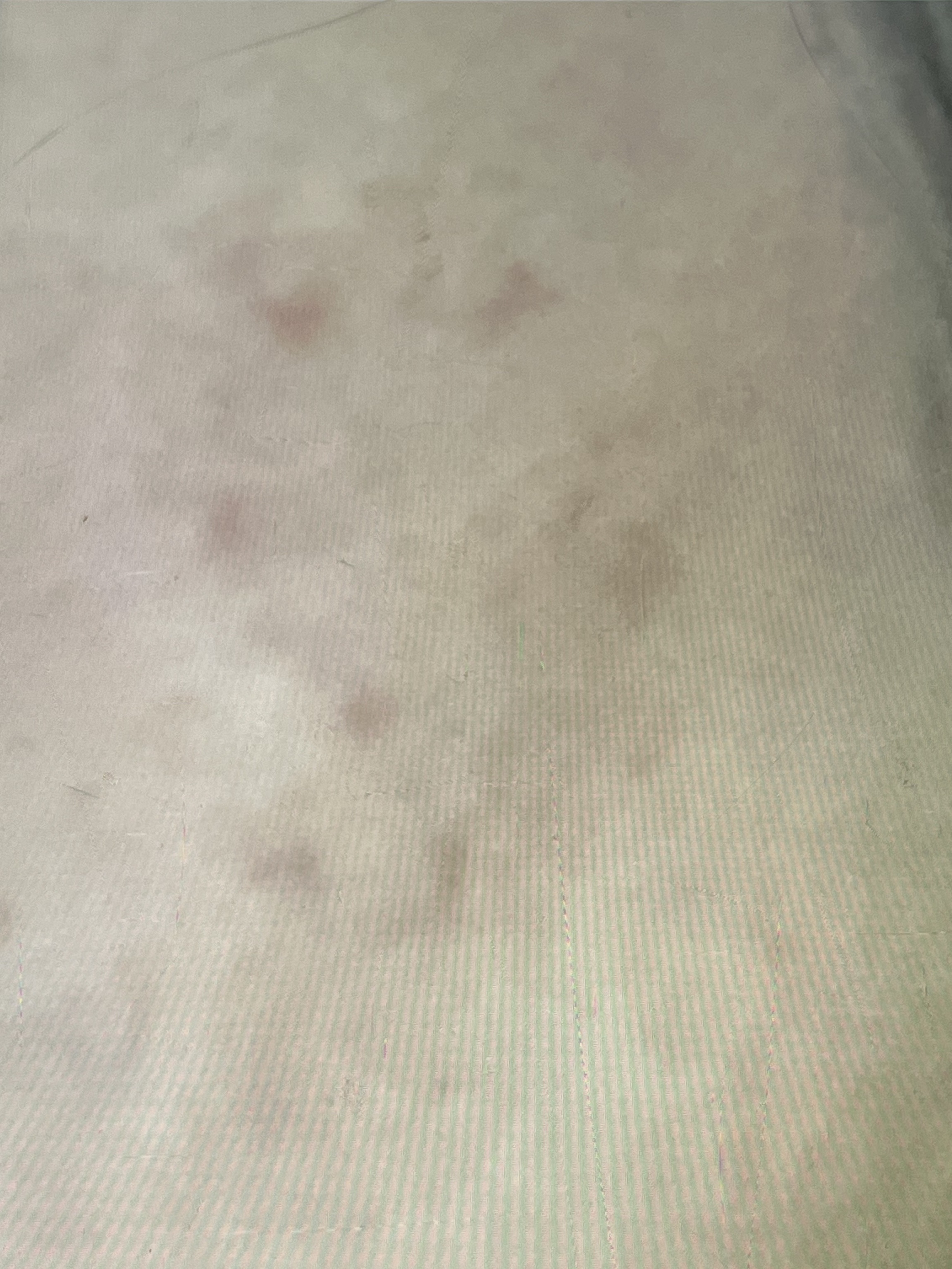 N10+Z1フェイスセラム /The Ordinary/美容液を使ったクチコミ（3枚目）