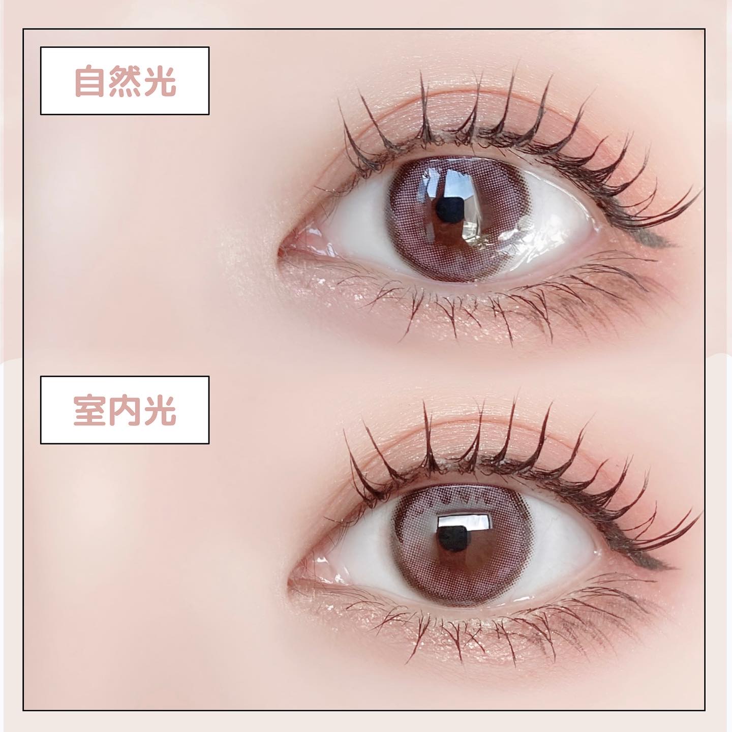 FrenchShine1day/OLENS/ワンデー（１DAY）カラコンを使ったクチコミ（3枚目）