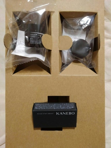 クリーム イン デイ/KANEBO/フェイスクリームを使ったクチコミ(2枚目)