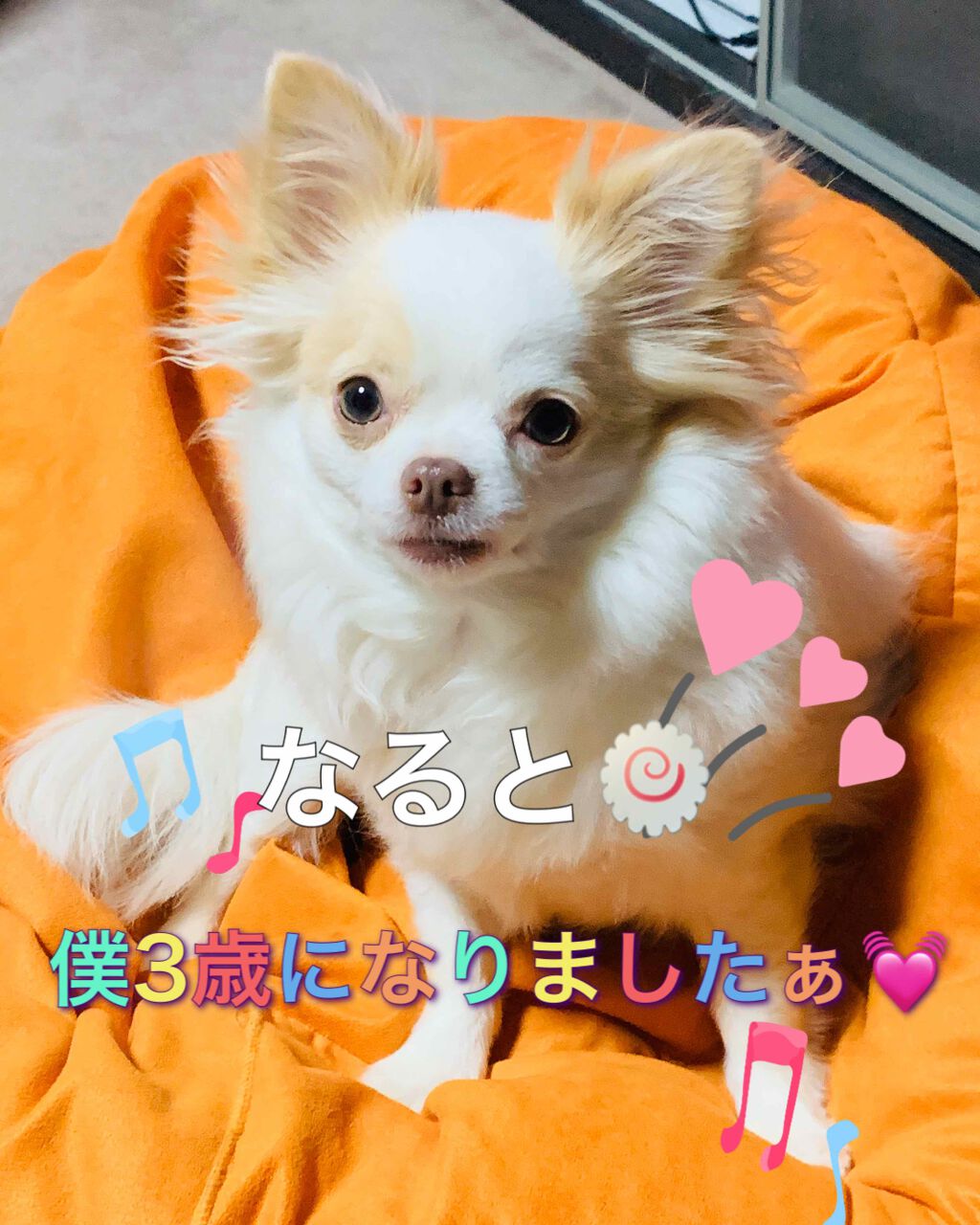 ひろろん on LIPS 「なると🍥のお話し💓今日…1月24日で、ぼくは3歳になりましたぁ..」(1枚目)