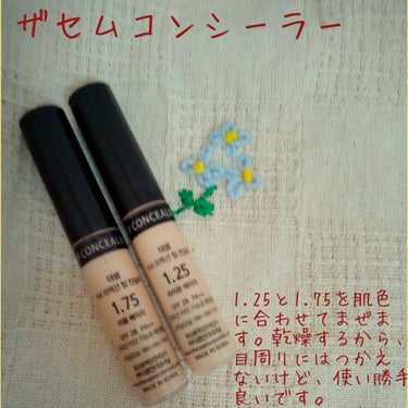 カバーパーフェクション チップコンシーラー/the SAEM/リキッドコンシーラーを使ったクチコミ（3枚目）