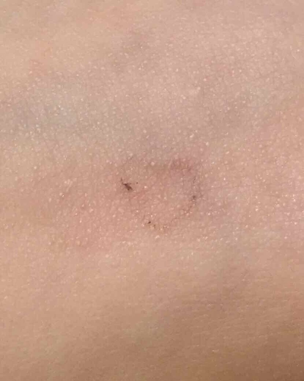 スリムスケッチアイブロウペンシル/U R GLAM/アイブロウペンシルを使ったクチコミ(4枚目)