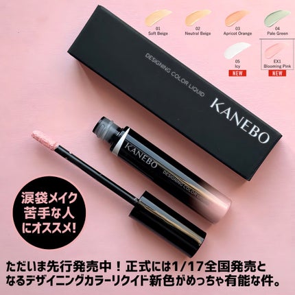 デザイニングカラーリクイド/KANEBO/リキッドコンシーラーを使ったクチコミ(2枚目)