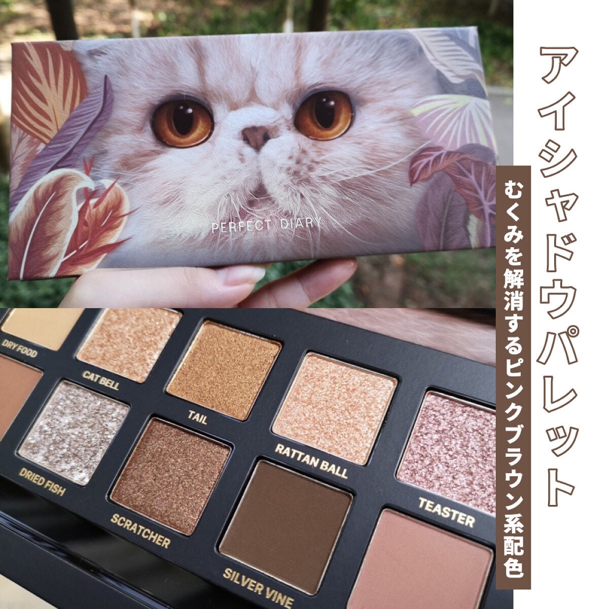 Perfect Diary on LIPS 「🐱\パーフェクトダイアリー 猫 Perfect Diary on LIPS 「🐱\パーフェクトダイアリー 猫