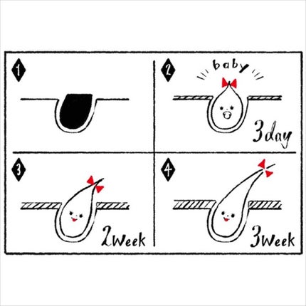 貝印 bi-hada L型のクチコミ「\カミソリメーカーが教える、シェービングの豆知識!/
☆カミソリ辞典☆
~うぶ毛ケアの頻.....」(2枚目)